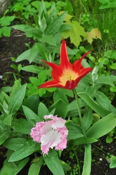 09Mai-12