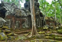 Locais Especiais: O Templo das Borboletas