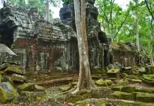 Locais Especiais: O Templo das Borboletas