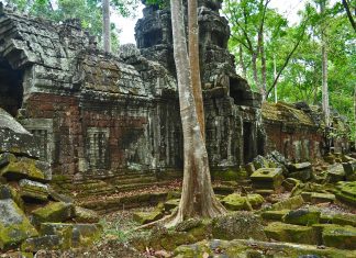 Locais Especiais: O Templo das Borboletas