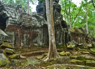 Locais Especiais: O Templo das Borboletas