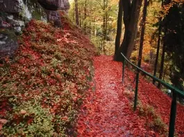 Locais: Cesky Raj