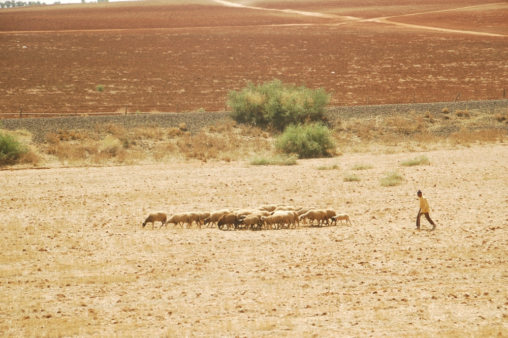 Marrocos-41