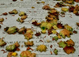 Paris – Outubro de 2014 – Dia 7