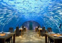 Restaurantes Loucos (5): Ithaa Undersea