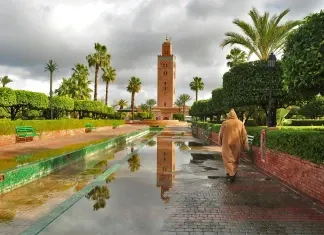 Marrocos 2015 – Dia 3 – Marrakesh