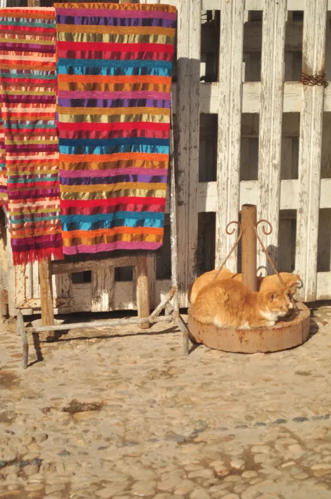marrakesh-dia5-04