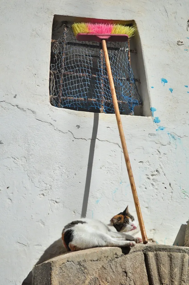 marrakesh-dia5-05