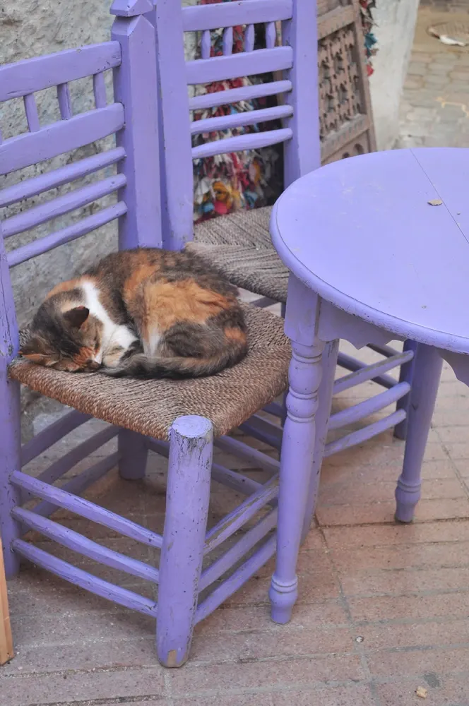 marrakesh-dia5-06