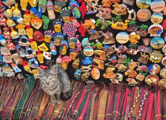 Marrocos 2015 – Dia 6 – Essaouira