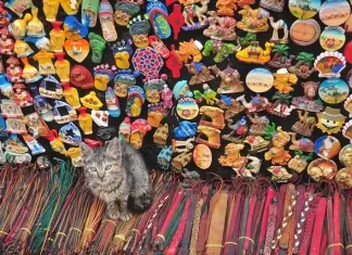 Marrocos 2015 – Dia 6 – Essaouira