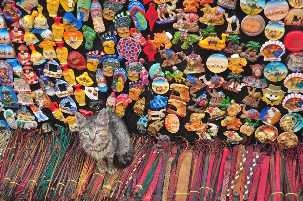 marrakesh-dia6-09