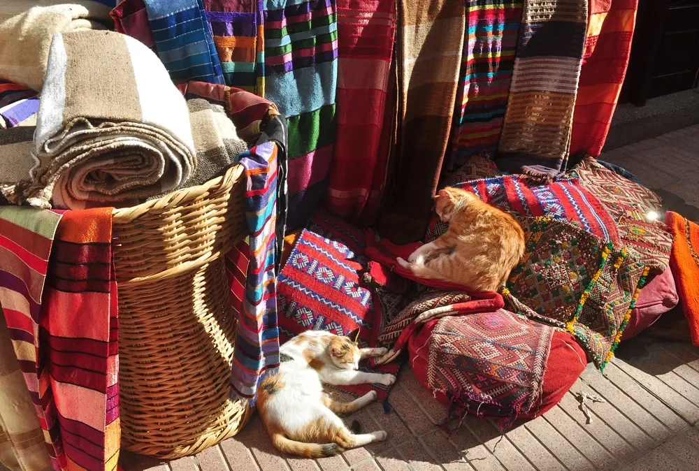 marrakesh-dia6-22
