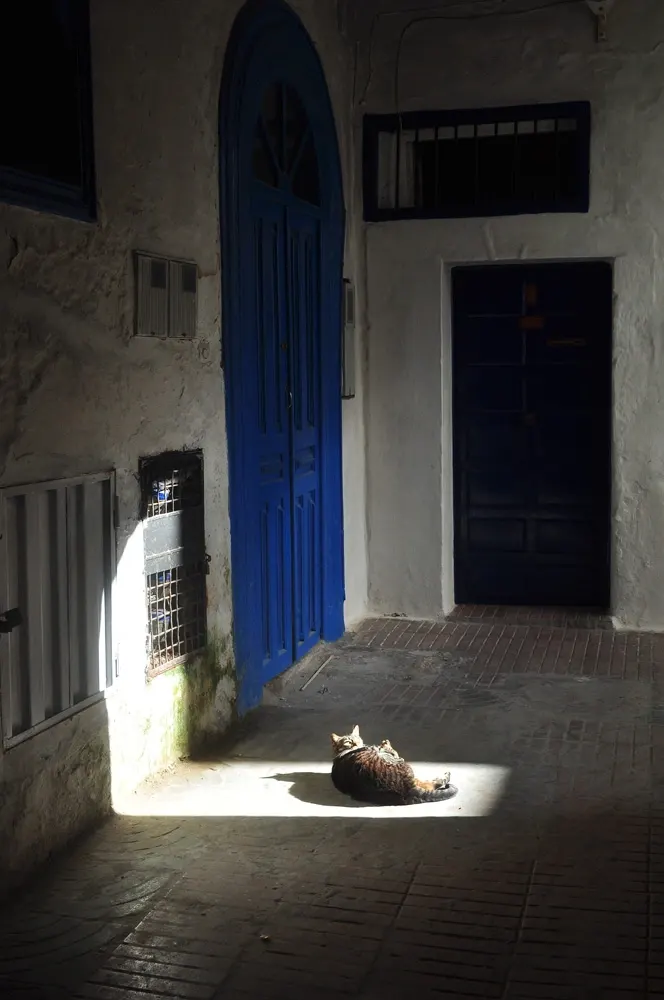 marrakesh-dia6-24