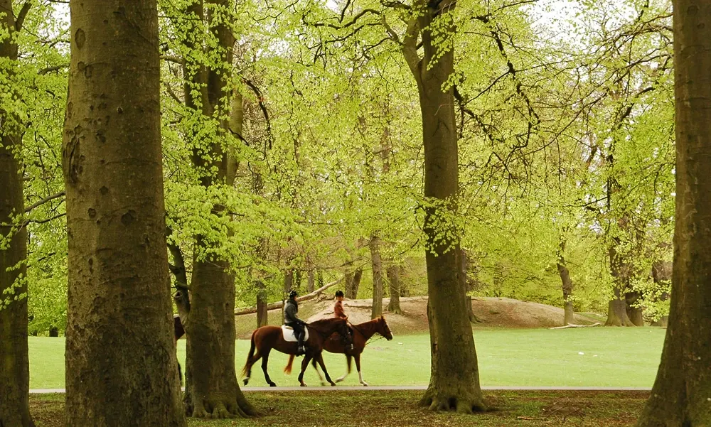 deerpark-02