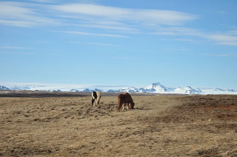 islandia-04-14