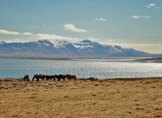 Islândia 2015 – Dia 5