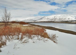 Islândia 2015 – Dia 6