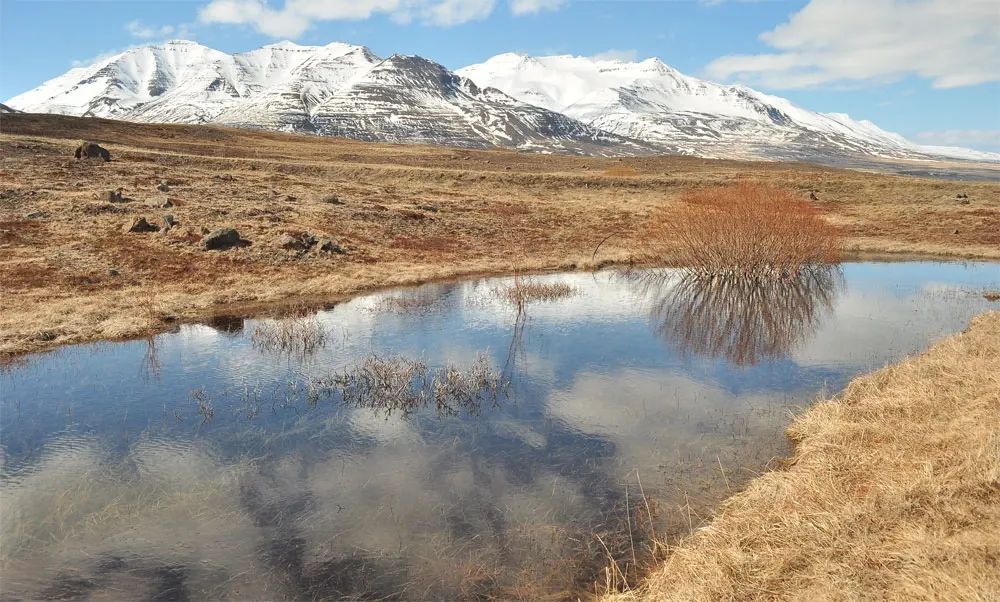 islandia-08-10