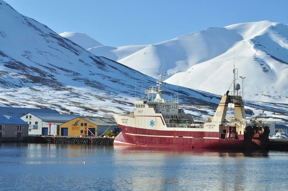 islandia-08-11