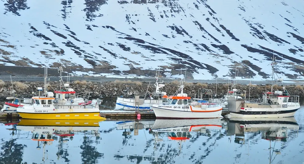 islandia-08-12