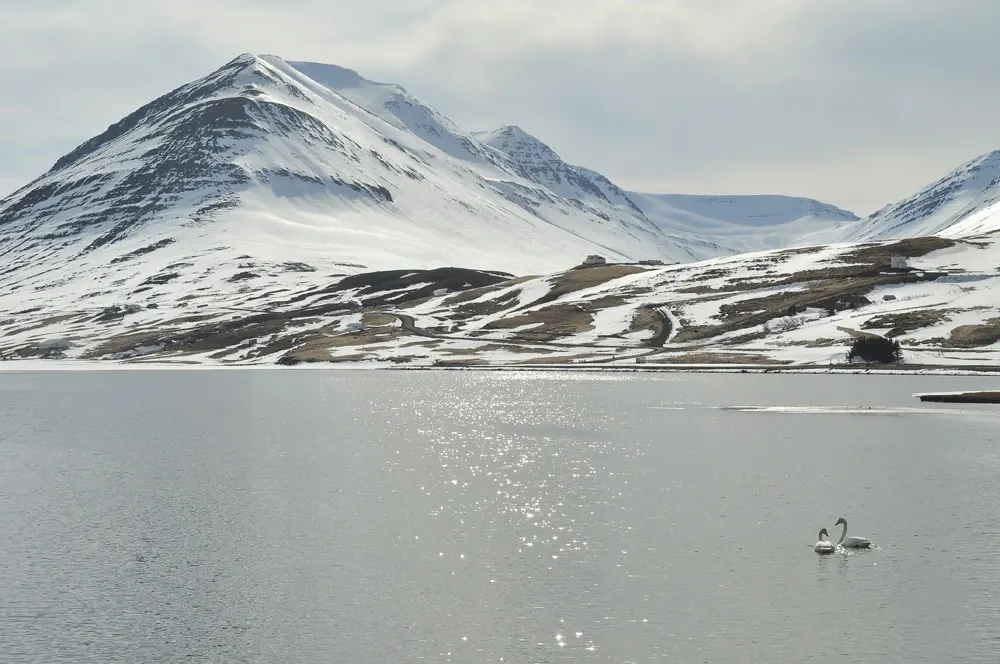 islandia-09-07