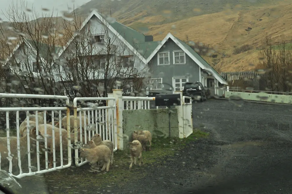 islandia-12-03
