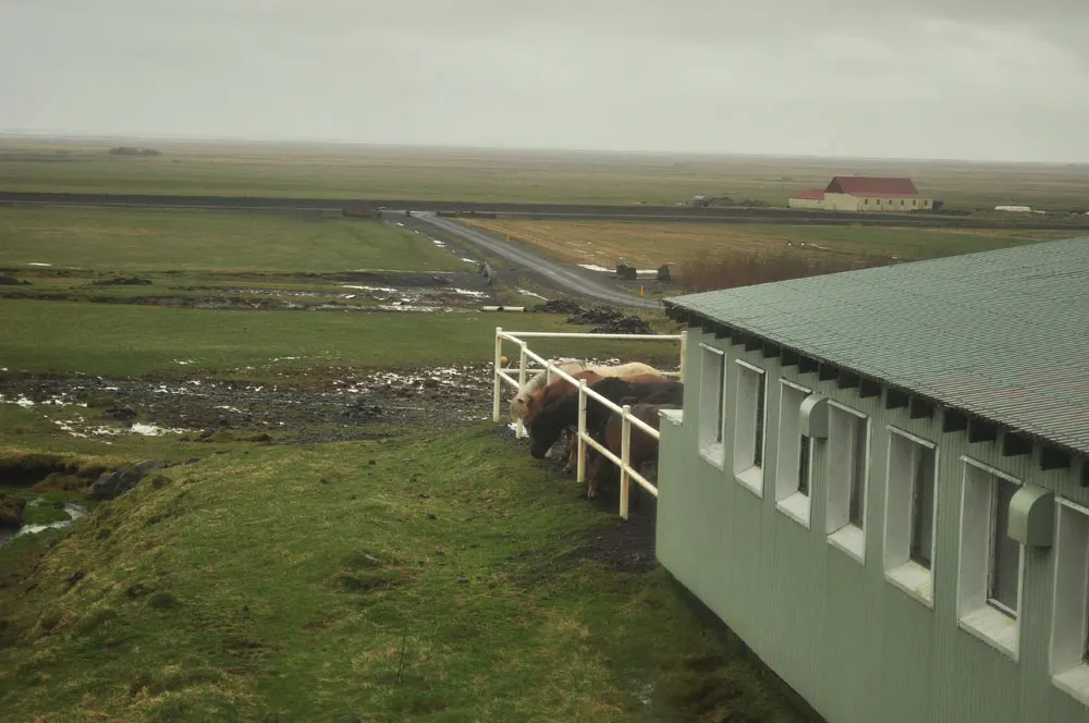 islandia-12-05