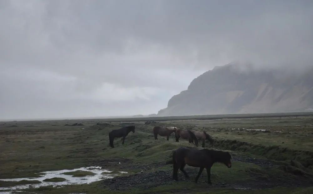 islandia-12-20