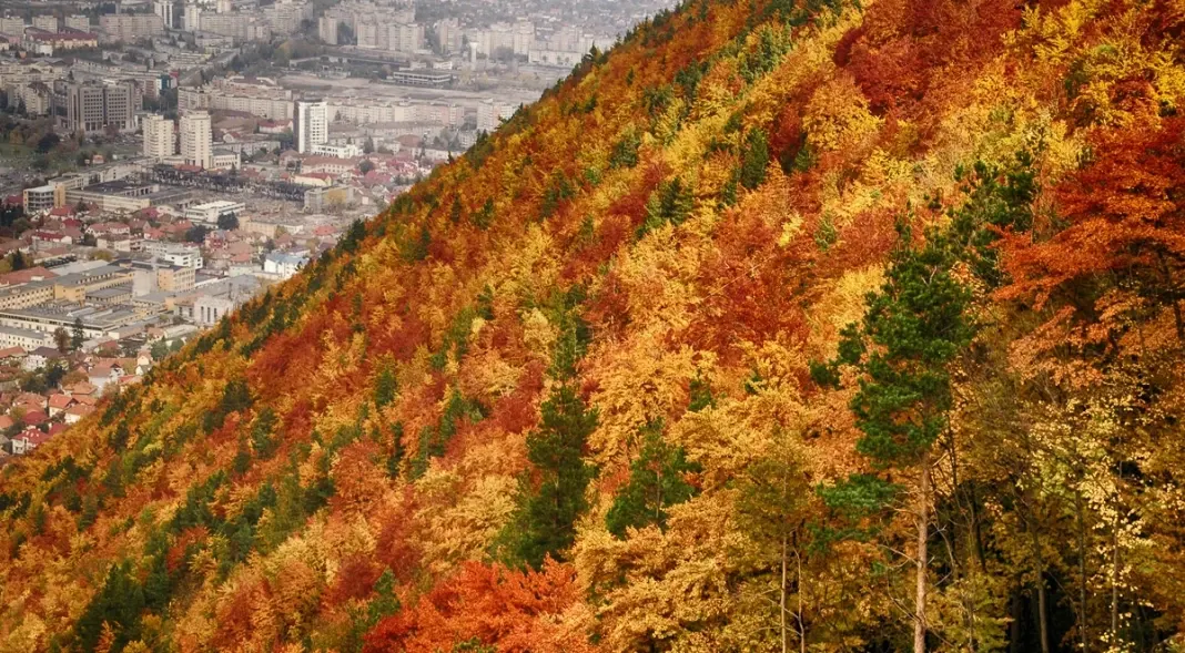 brasov-00
