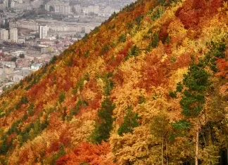 Locais: Brasov