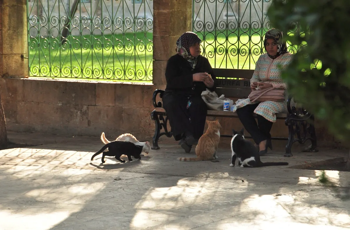 2015-10-19-Urfa-02-16