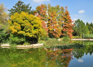 Locais: Jardim das Flores de Isfahan