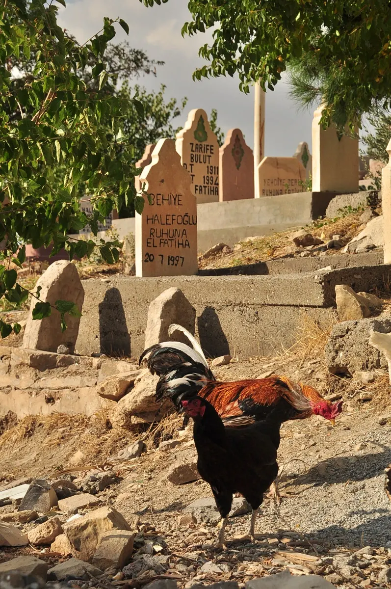 mardin-01-04