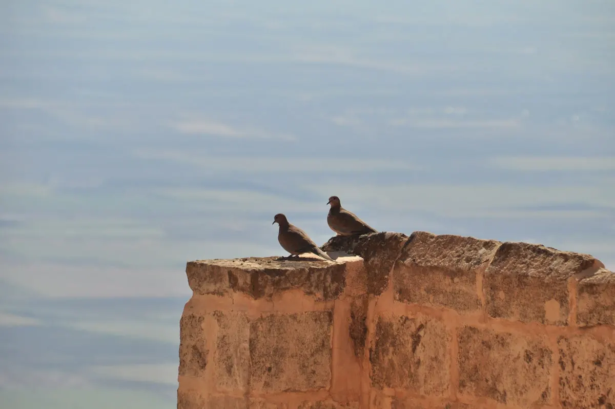 mardin-02-02