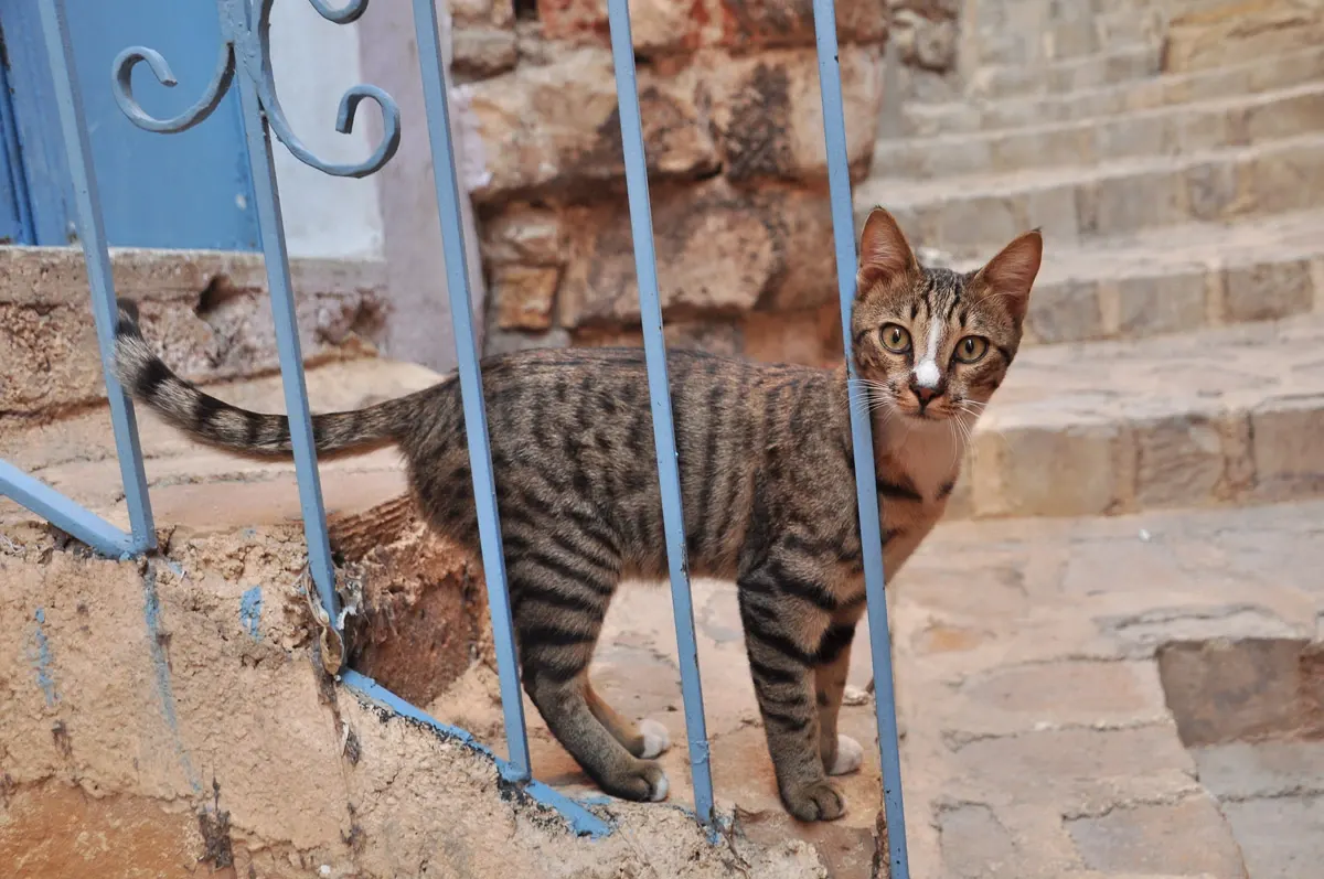 mardin-02-09