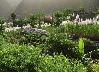 Cabo Verde 2015 – Santo Antão – Dia 7