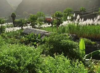 Cabo Verde 2015 – Santo Antão – Dia 7