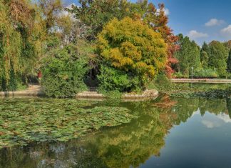 Médio Oriente 2015 – Isfahan – Dia 27