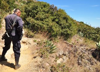 Pessoas: Baquero, o Operacional