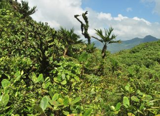 América Latina 2016 – Dia 2 – Cidade do Panamá