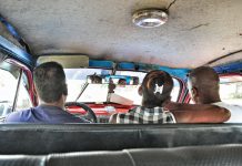 Fotos: Táxis de Havana