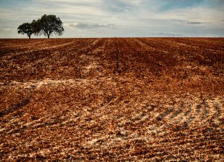 Por Terras do Alentejo