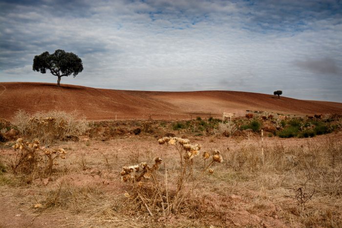 Um postal do Alentejo