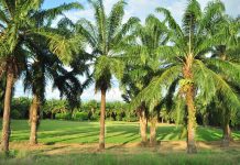 América Latina 2016 – Dia 6 – De David até San José