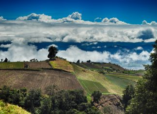 América Latina 2016 – Dia 7 – Em redor de San José