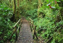 América Latina 2016 – Dia 8 – Volcan Barva