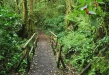 América Latina 2016 – Dia 8 – Volcan Barva