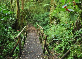 América Latina 2016 – Dia 8 – Volcan Barva
