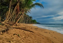 Locais: Praia Jalé